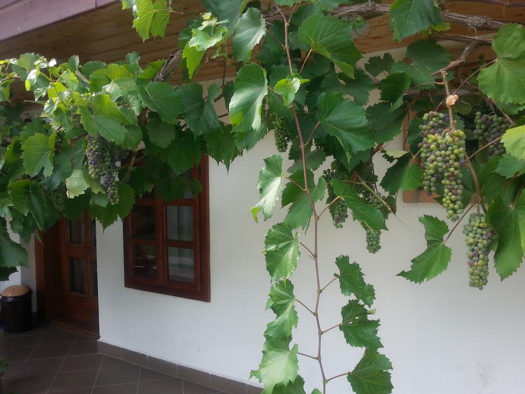 Lugas Vendeghaz Hotel Felsotold Bagian luar foto