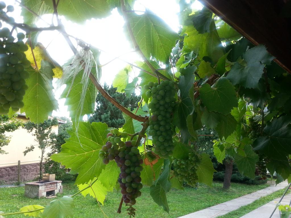 Lugas Vendeghaz Hotel Felsotold Bagian luar foto